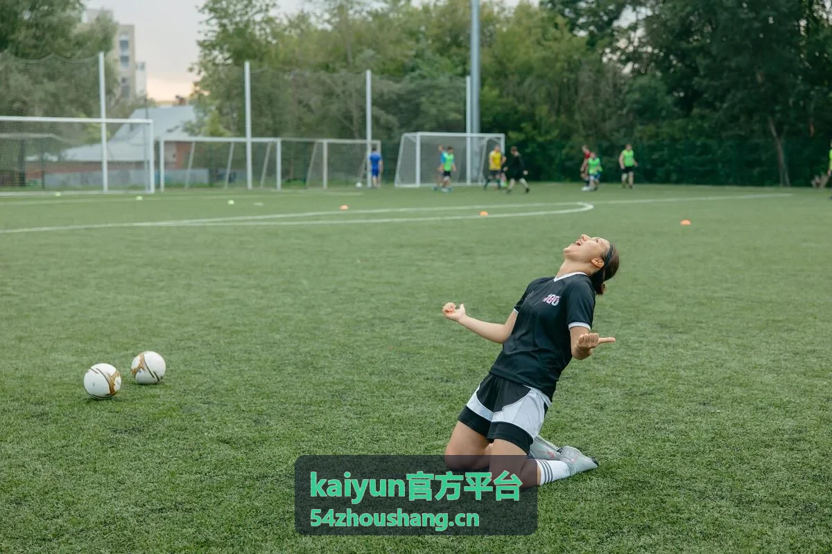 kaiyun官方平台入口与栏目导览示意